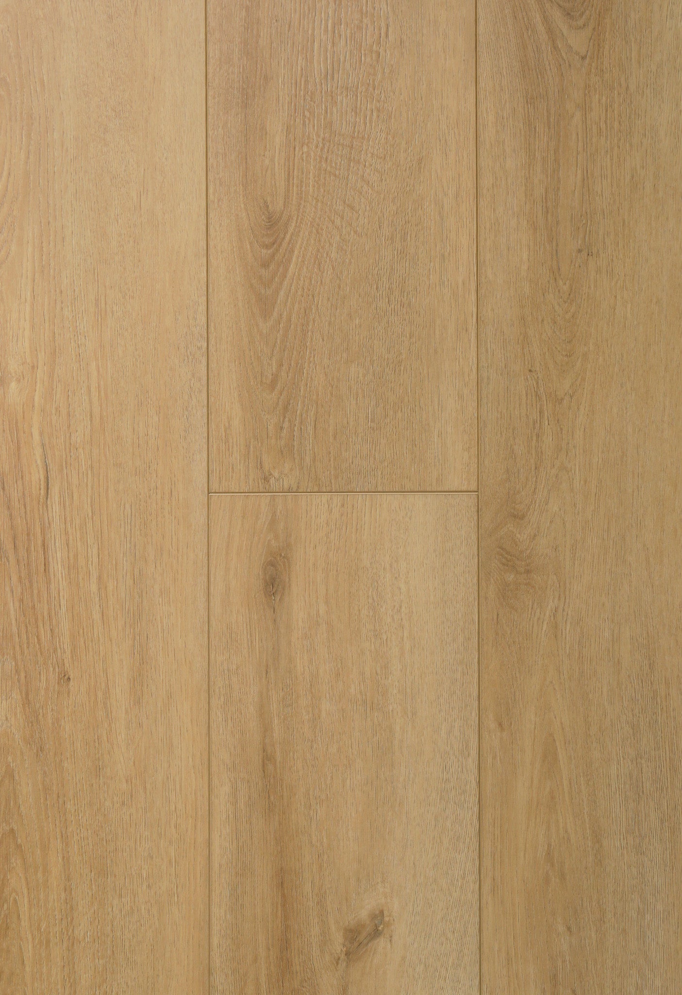 ROBLE ALVEAR - Mr Parquet