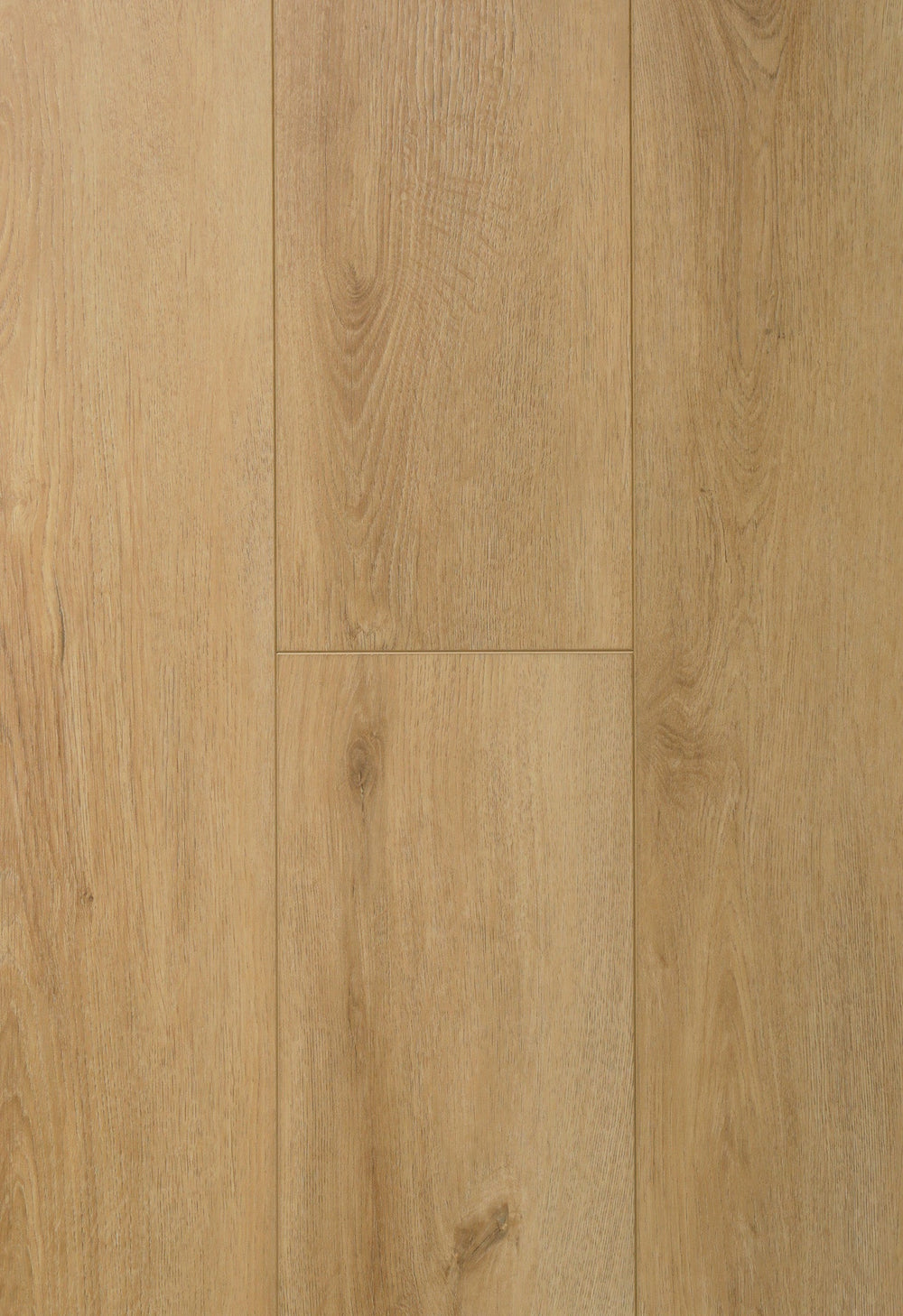 ROBLE ALVEAR - Mr Parquet