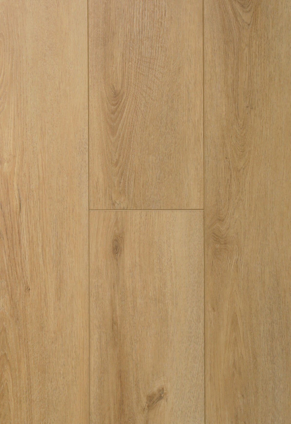 ROBLE ALVEAR XL