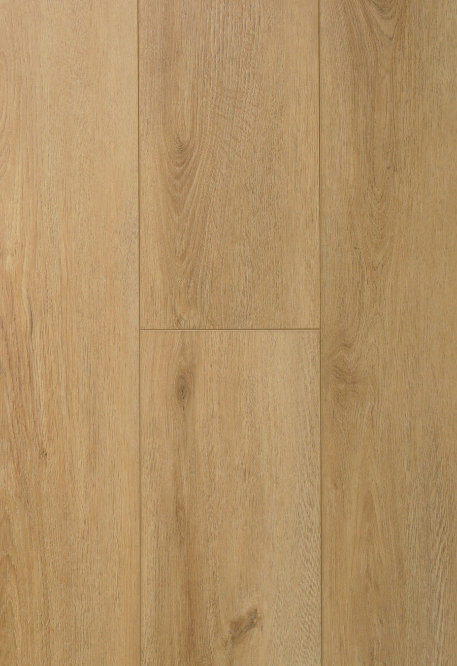 ROBLE ALVEAR XL