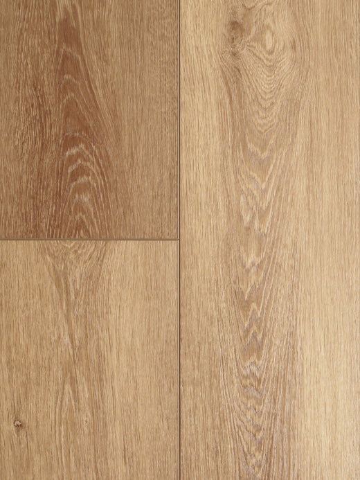ROBLE XL (2139)