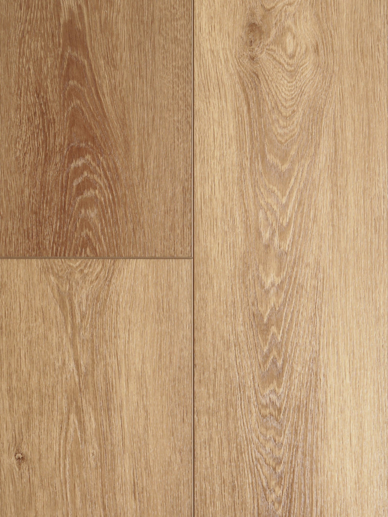 ROBLE XL (2139)