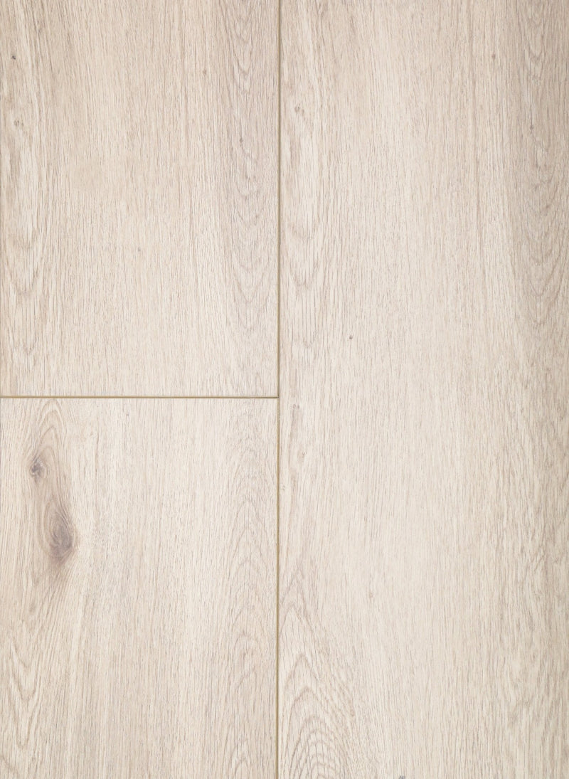 SIBERIAN OAK XL
